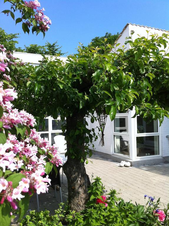 Kathrines Bed & Breakfast Svendborg Exterior photo